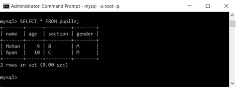 How can I count the numbers of rows that a MySQL .